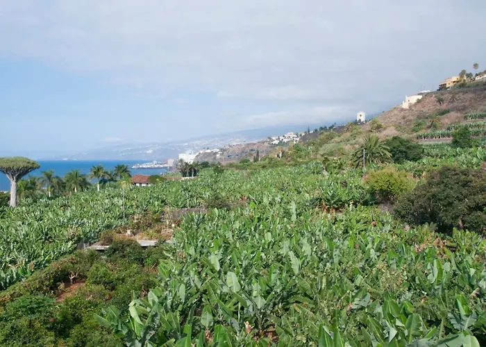 Casa Catuja
